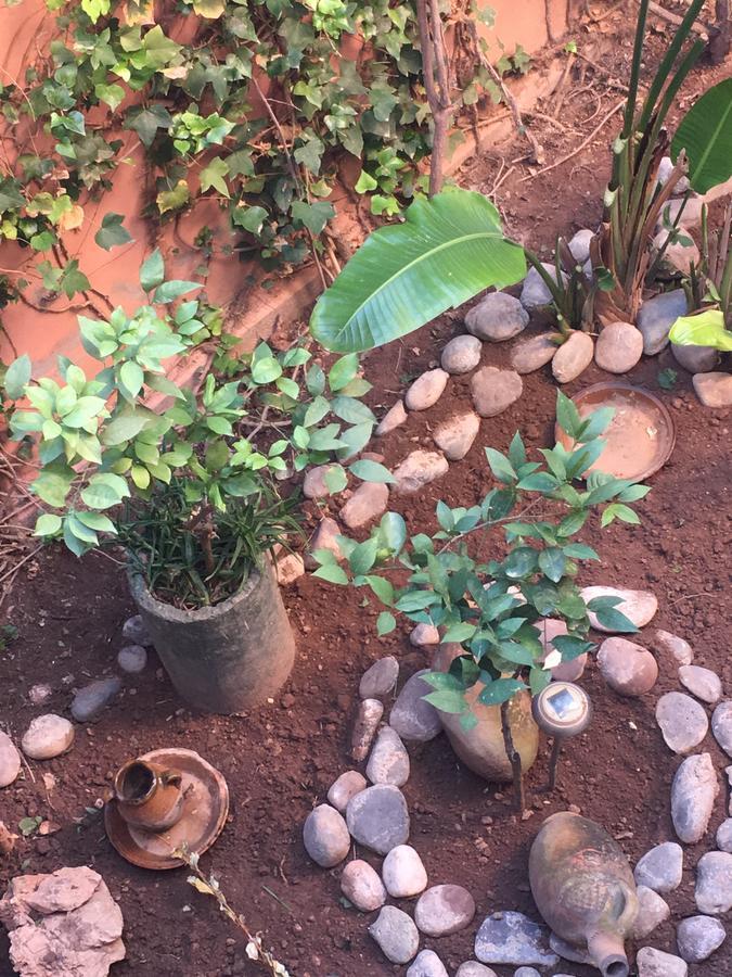 Appartement Andalou Marrakesh Exterior foto
